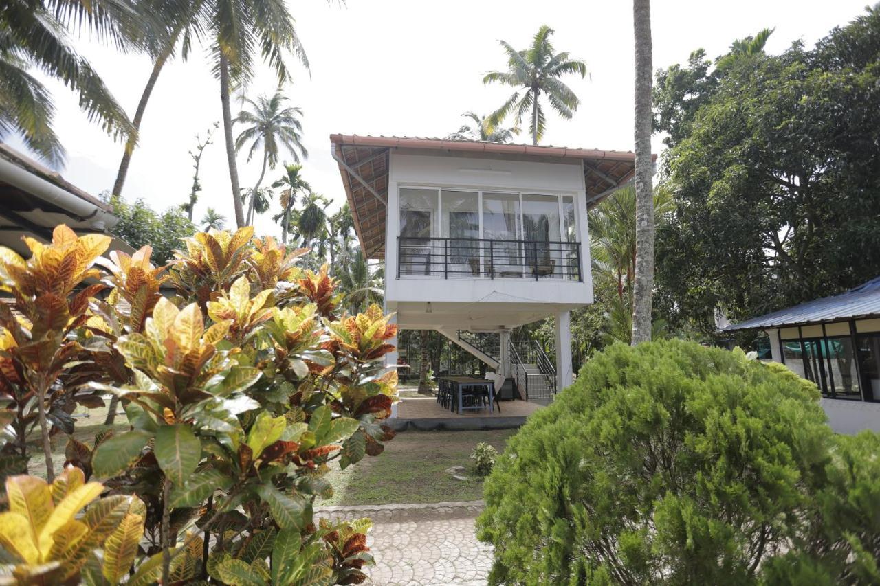 Kallanchery Retreat Kochi Exteriér fotografie